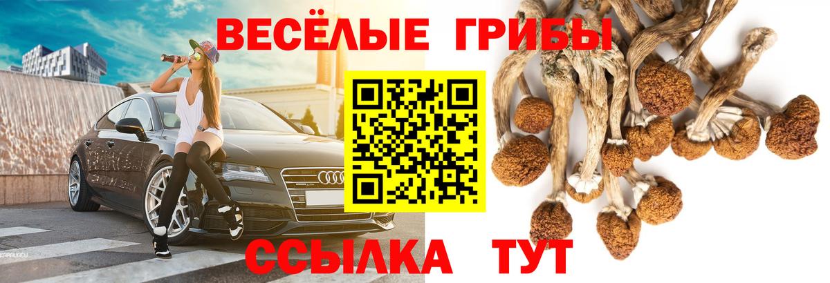 купить   Вход с VPN  Камень-на-Оби  Галлюциногенные грибы прущие грибы 