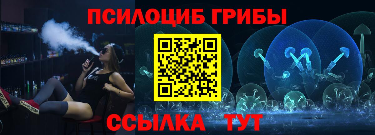 Псилоцибиновые грибы Cubensis Камень-на-Оби